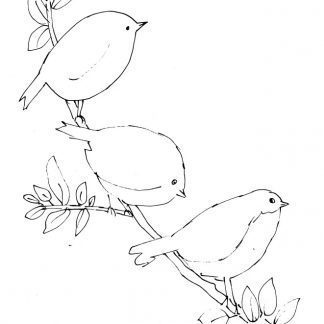 Birds with Sparkles Sketch