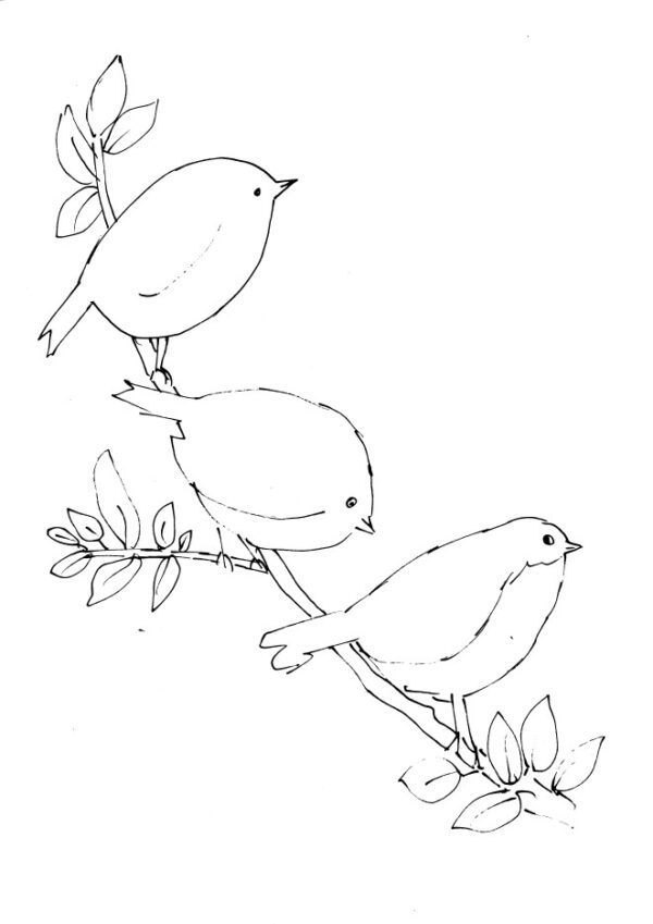 Birds with Sparkles Sketch