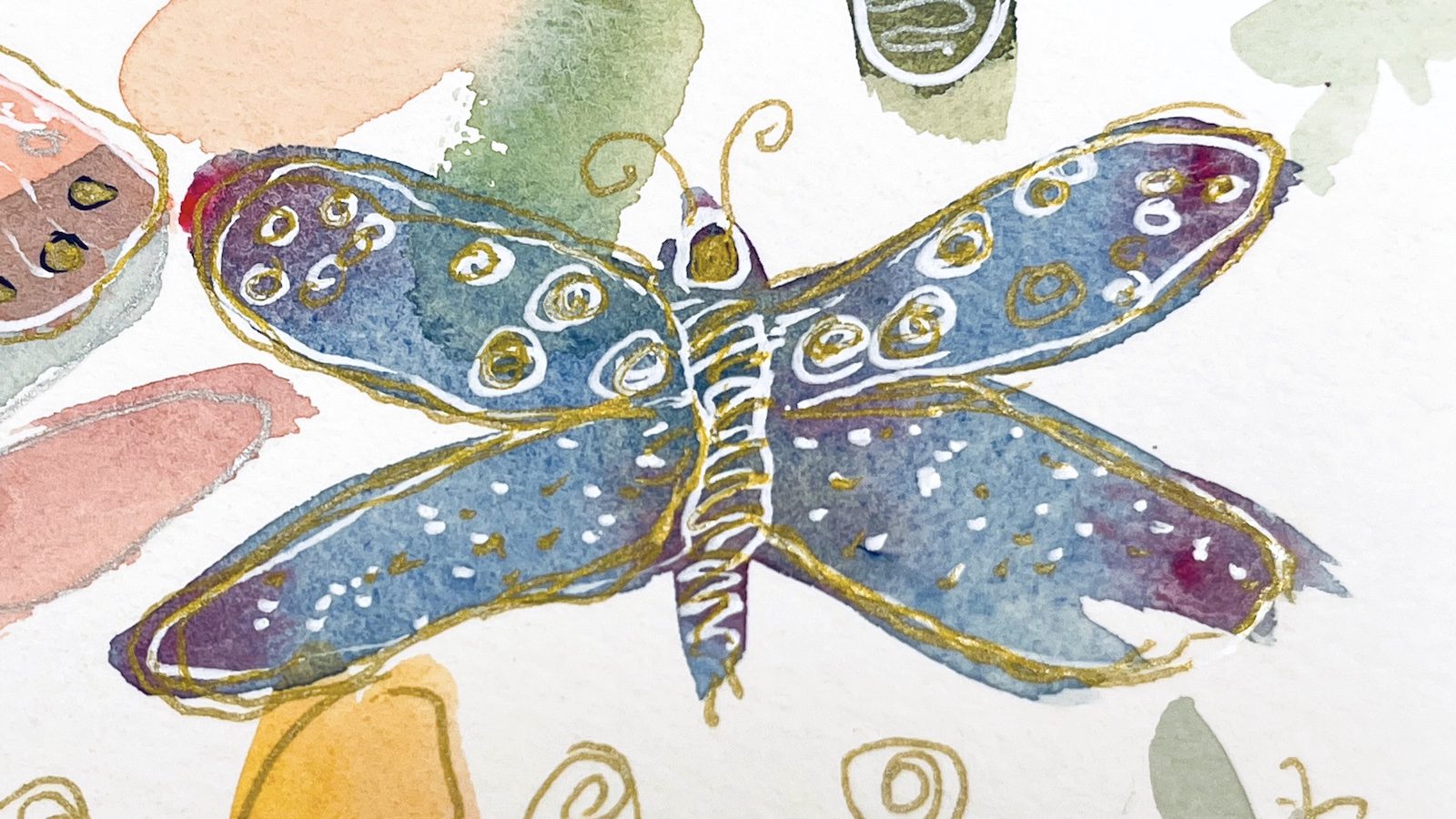 drawings of butterflies and dragonflies