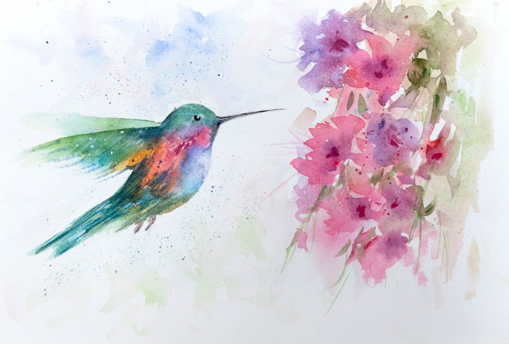 paintings of hummingbirds and flowers