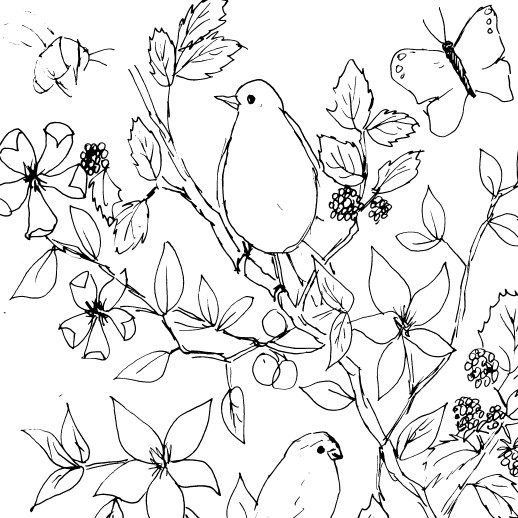 sketch of little watercolor birds in flowers