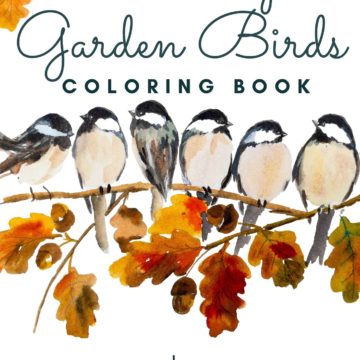 Country Garden Birds Coloring Book
