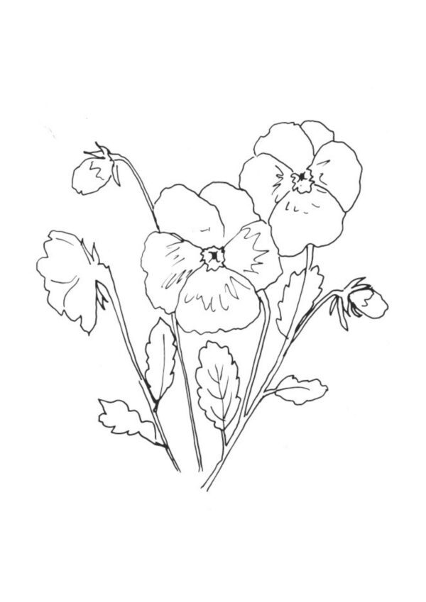 Garden Flowers Coloring Book - Image 6