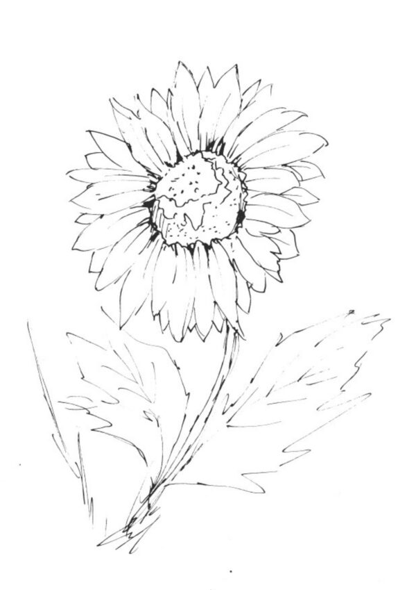 Garden Flowers Coloring Book - Image 7