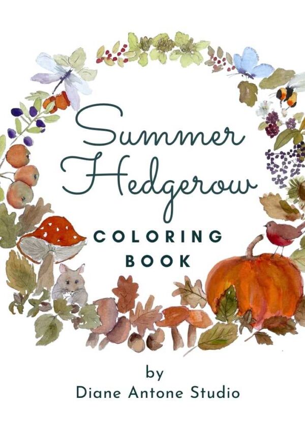 Summer Hedgerow Coloring Book