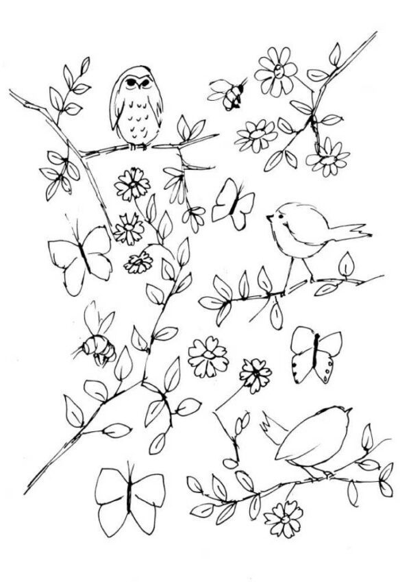 Summer Hedgerow Coloring Book - Image 5