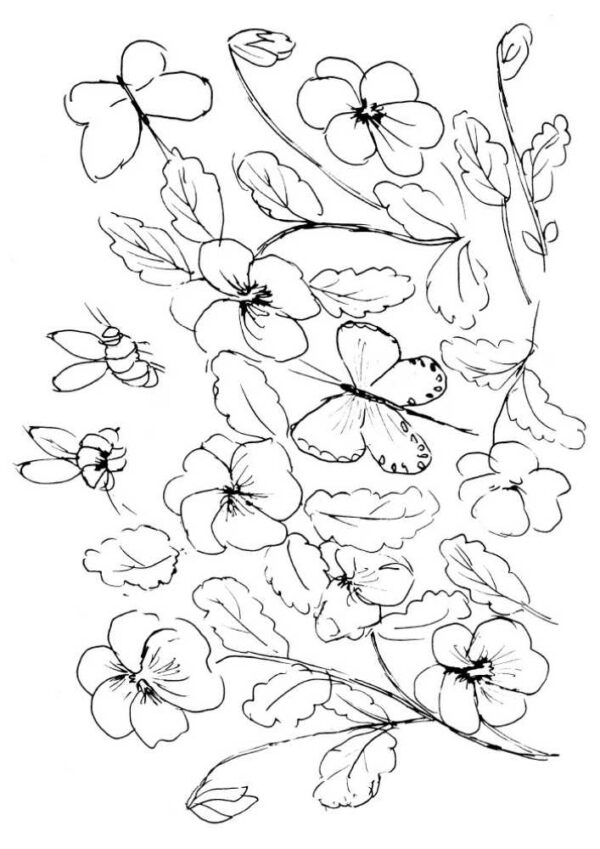 Summer Hedgerow Coloring Book - Image 6
