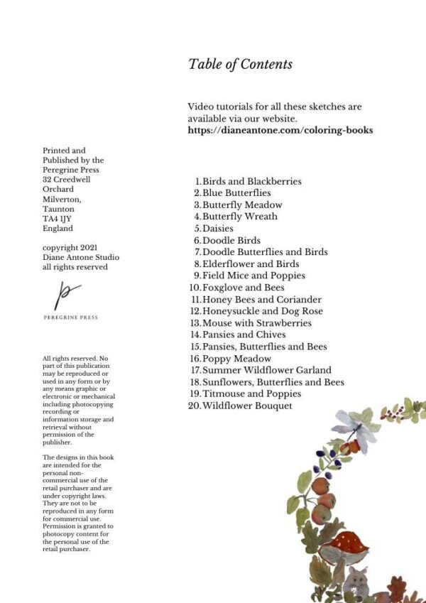 Summer Hedgerow Coloring Book - Image 3