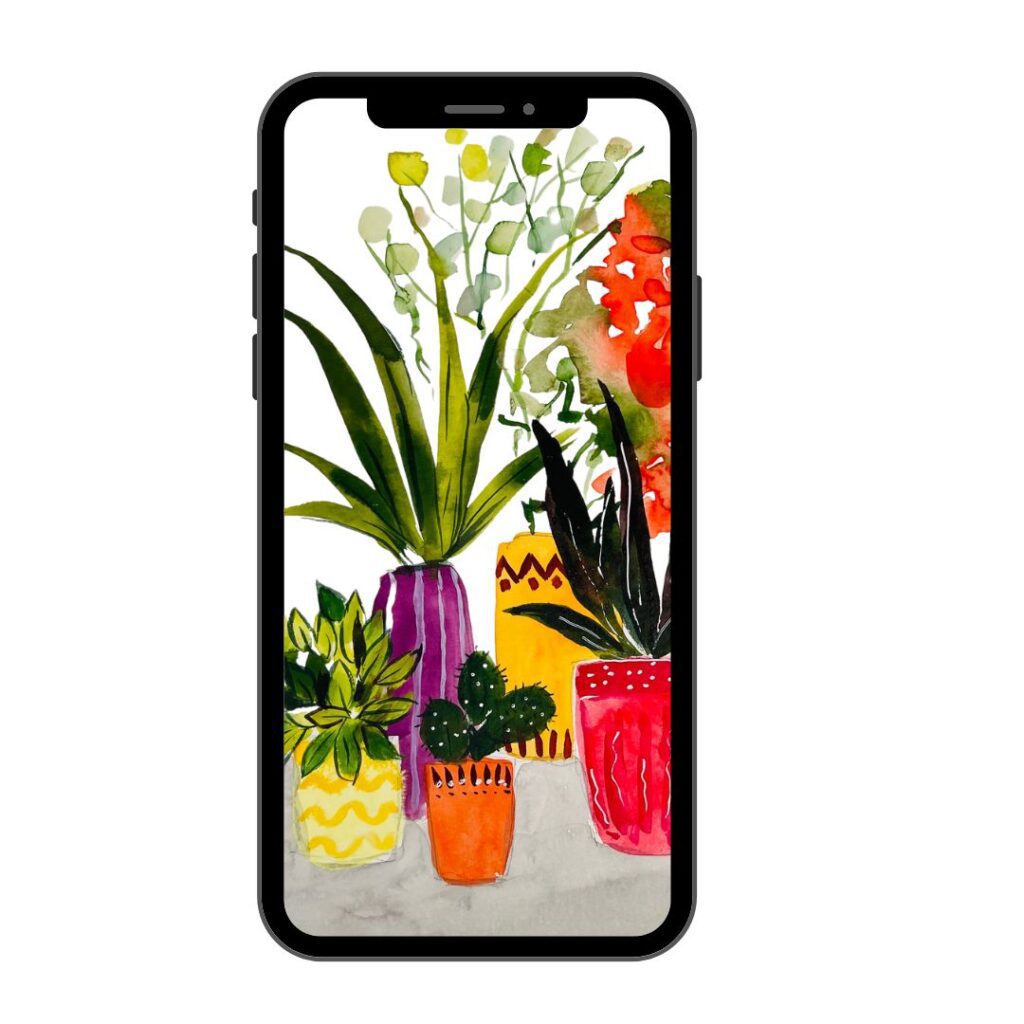 plants-in-pots-diane-antone-studio
