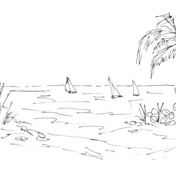 Tropical Beach Sketch