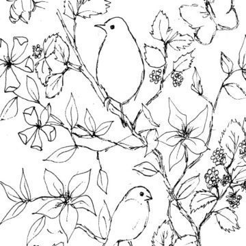 Blackberries and Birds Sketch
