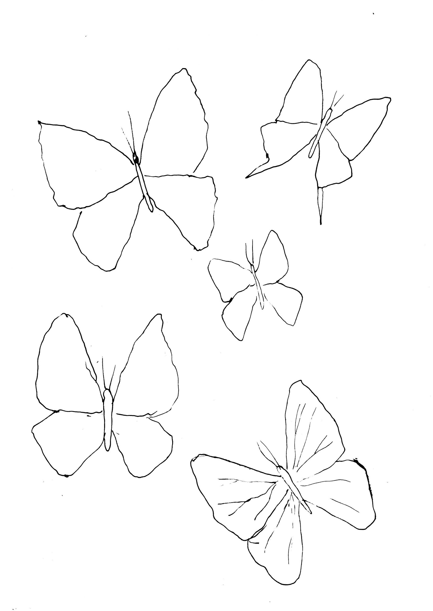 Easy butterfly drawings | Outline drawings | How to draw A Butterfly step  by step | #artjanag - YouTube