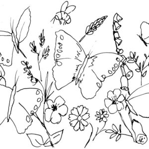 Bees, Butterflies and Dragonflies Sketch Bundle 1