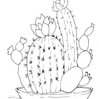 Cactus Sketch