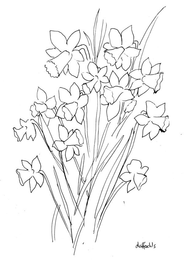 Flowers Sketch Bundle 1 - Image 6