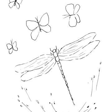 Dragonfly and Butterflies Sketch