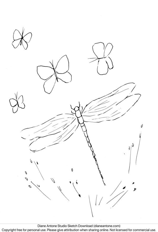 Dragonfly and Butterflies Sketch