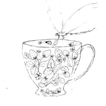 Dragonfly and Teacup Sketch