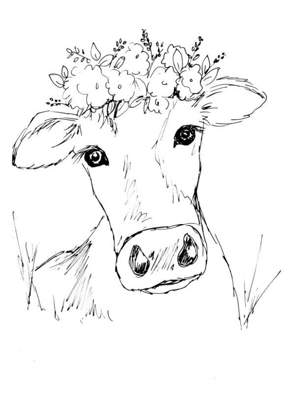 Flora the Cow Sketch