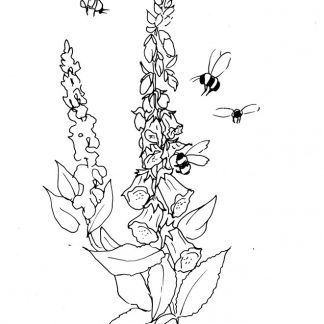 Foxglove and Bees Sketch
