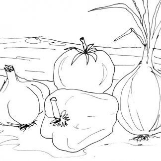 Garden Vegetables Sketch