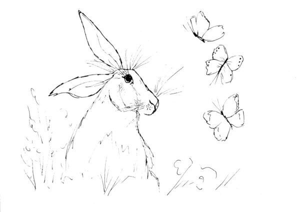 Hare and Butterflies Sketch