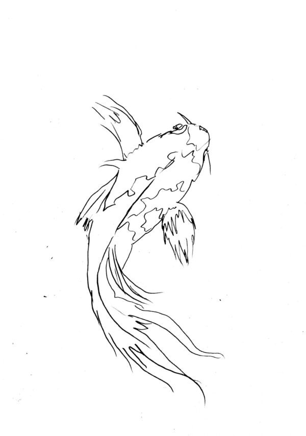 Koi Carp Sketch