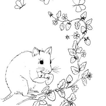 Mouse and Strawberries Sketch