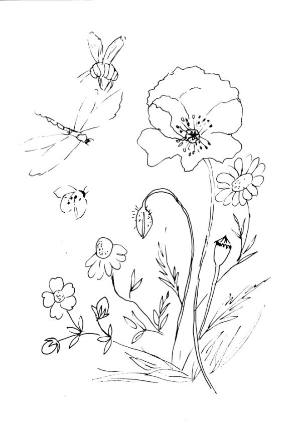 Flowers Sketch Bundle 1 - Image 8