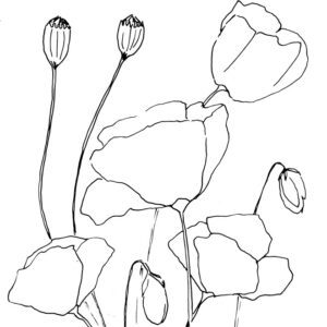 Flowers Sketch Bundle II
