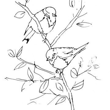 Sparrows Sketch