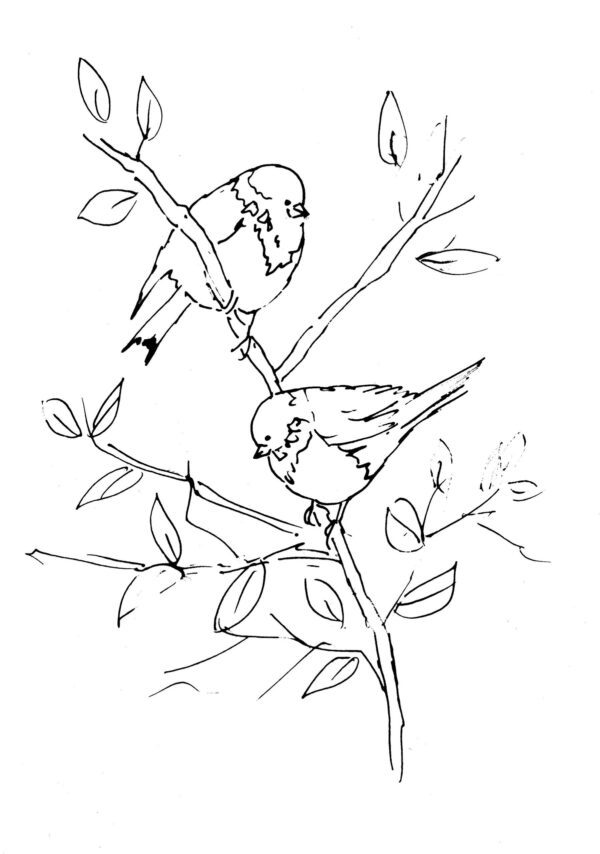 Sparrows Sketch