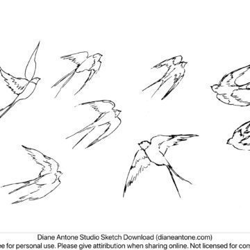 Swallows in Flight Sketch