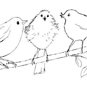 Three Little Birds Sketch