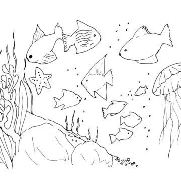 Tropical Fish Sketch
