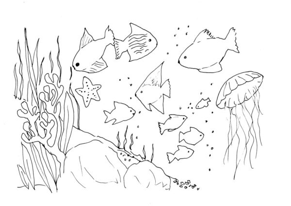 Tropical Fish Sketch