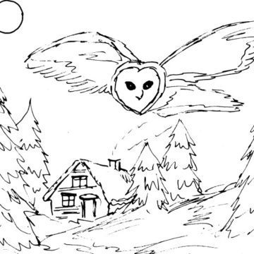 Barn Owl Snowy Scene Sketch