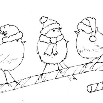 Three Cute Robins with Christmas Hats Sketch