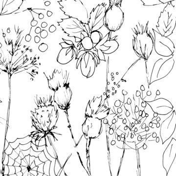 Autumn Leaves Seedheads and Berries Sketch