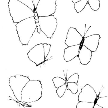 Late Summer Butterflies Sketch