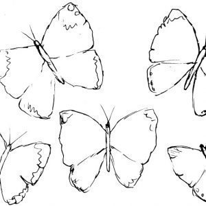 Butterflies Sketch II
