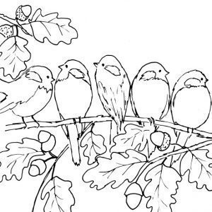Chickadees and Oak Leaves Sketch