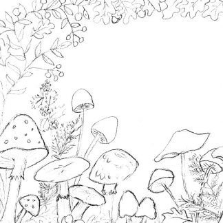 Mushroom Forest Sketch