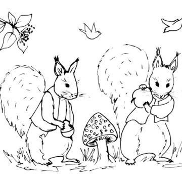 Red Squirrels Sketch