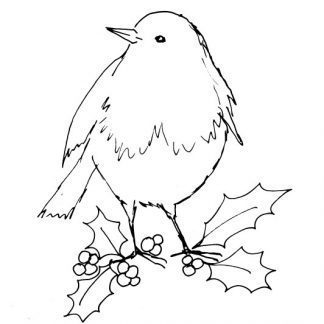 Robin in Snow Sketch