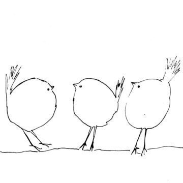 Three Cute Birds Sketch