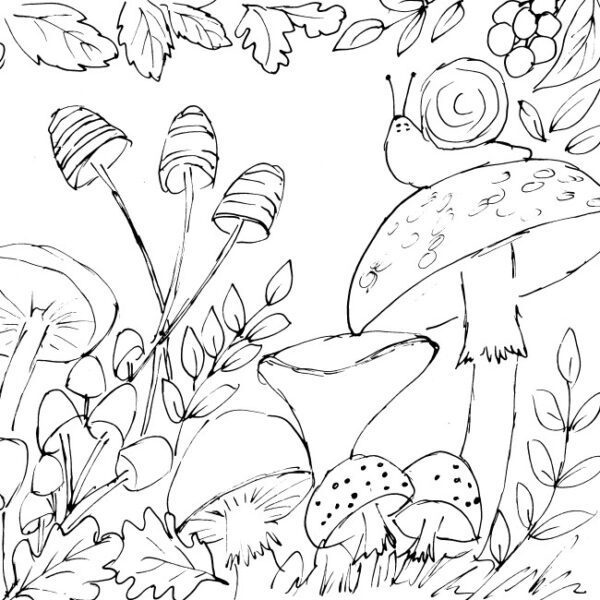 Mushroom Forest Sketch II