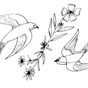 Pair of Swallows in Flight Sketch