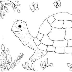 Whimsical Turtle Sketch