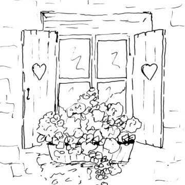 Geraniums in Window Box Sketch